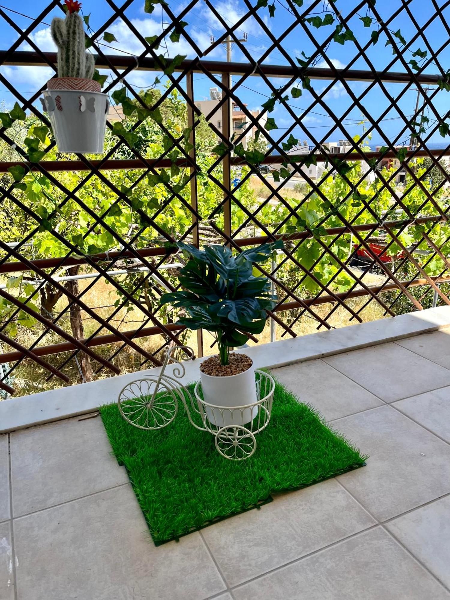 Dream Apartments Παλαιοχώρα Εξωτερικό φωτογραφία